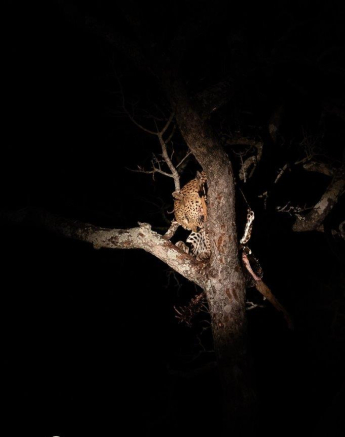 23Kevin Van Der Linde Maxabeni 13062019 Sigma 70 200 F2.8 Final 23Kevin Van Der Linde Maxabeni 13062019 Sigma 70 200 F2.8 Final