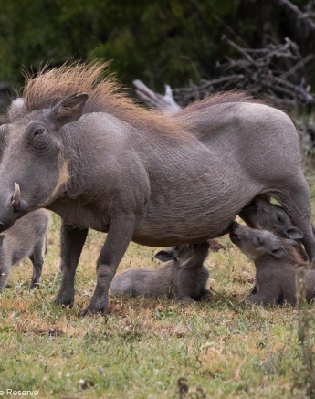 A02Jason Street Warthog 261122 1. Final