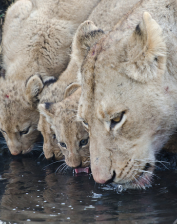 Week In Pictures 4 Week In Pictures 4