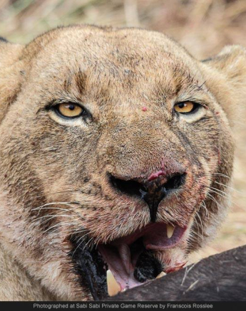 10458990 702248519822802 3599904240813803880 O