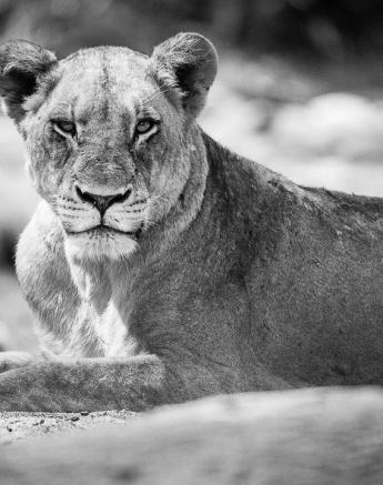 10Terry Ennever MBreakaway 12417 2 Final 10Terry Ennever MBreakaway 12417 2 Final