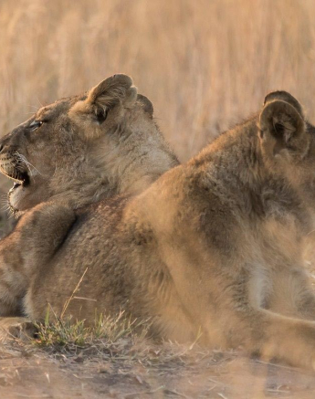 37Sheldon Hooper SP 27 06 17 7 Final