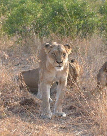 23Ronald Mutero SP 25072019 1 Final 23Ronald Mutero SP 25072019 1 Final