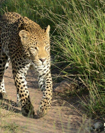 21Ronald Mutero White Dam 08022020  5 Final