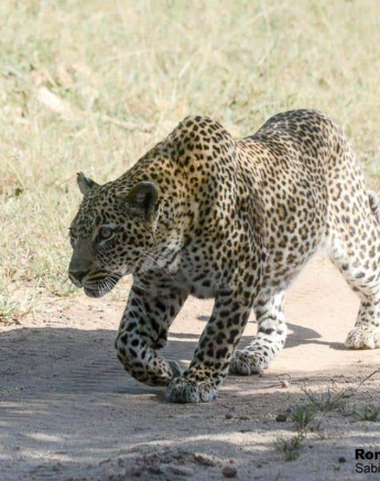 24Ronald Mutero Scotia 09022020  5 Final