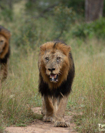 10Tyron Van Der Walt Birmingham Males 160420 8 Final