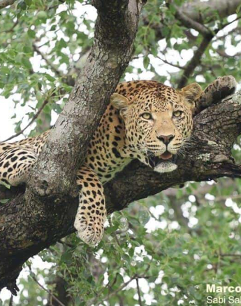 03Marco Vietti White Dam 311220  Final