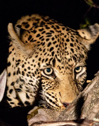 33ronald Mutero Mweti 17062021   16 Final 33ronald Mutero Mweti 17062021   16 Final