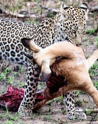 35ronald Mutero River Rocks Female 19062021 2 Final 35ronald Mutero River Rocks Female 19062021 2 Final