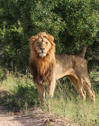 10947402 799918553389131 4192052878417174907 O