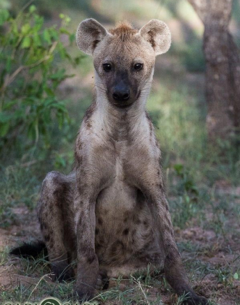 12Terry Ennever Max 261216 2 Final