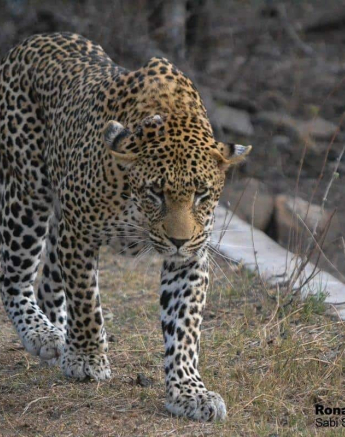 09Ronald Mutero Nweti 31102019 Final 09Ronald Mutero Nweti 31102019 Final