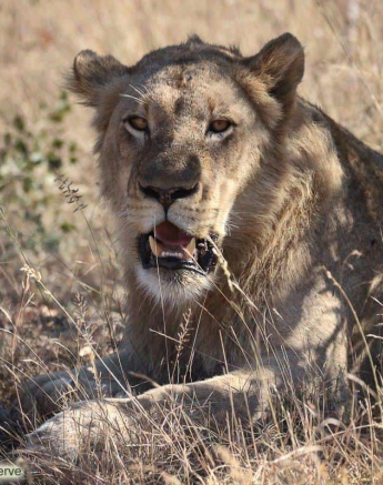 25Louise Murray Unkown 03062020 Final