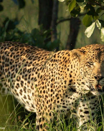 04Tyron Van Der Walt White Dam 301220 1 Final