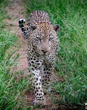 26ronald Mutero Xovo 26022021 2 FINAL