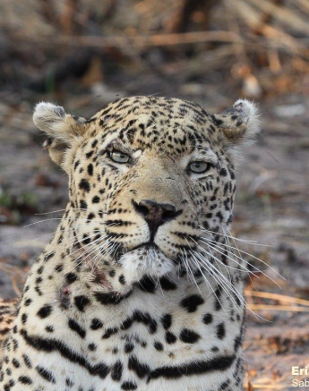 B14Erin Herbst Dewane 310821 Final B14Erin Herbst Dewane 310821 Final