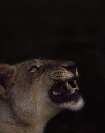 06Sheldon Hooper Pride On The Move 06Sheldon Hooper Pride On The Move