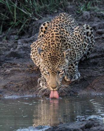 05Kevan Dobbie Kashan 001 Final