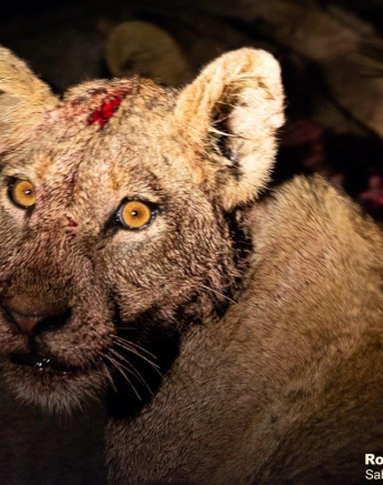 04ronald Mutero Styx 02012023  2 Final