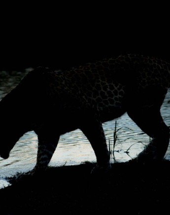 01Tayla McCurdy Maxabeni 10 March 16 2