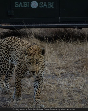 10560572 732027086844945 1114343176992523548 O