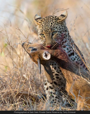 10571956 738694769511510 7187183885160414181 O