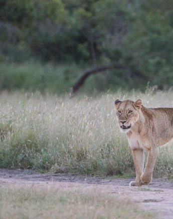 03Terry Ennever Sparta 21317 2 Final 03Terry Ennever Sparta 21317 2 Final