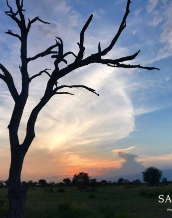 17Rod Wyndham Sunset Final 17Rod Wyndham Sunset Final