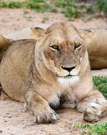 34ronaldmutero Stix 22112020  5 Final 34ronaldmutero Stix 22112020  5 Final