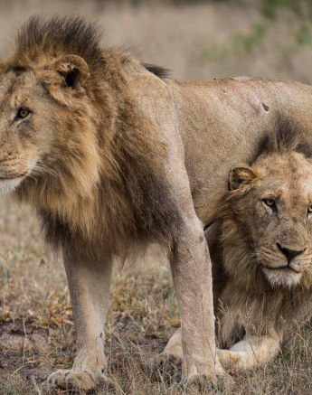 02Terry Ennever Avoca 25118 Final