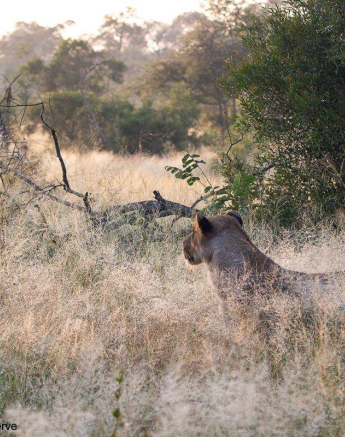 51Greg Heasman Sp 31032020 1 Final 51Greg Heasman Sp 31032020 1 Final