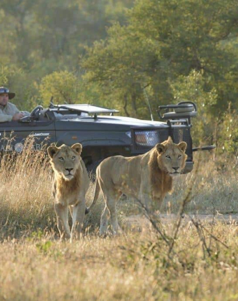 16Stefan Schoeman Nkuhuma Styx 28052020 Final