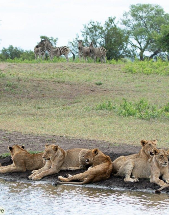 A40ronald Mutero Styx 29112022 6 Final