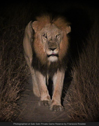 10321164 698863523494635 2326146518148694530 O