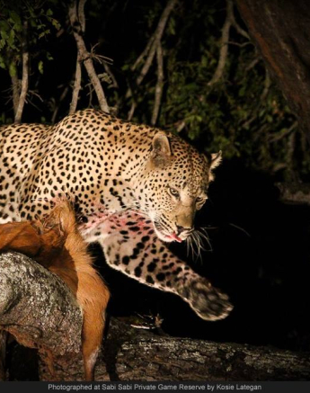 10626336 740887592625561 6964637003155864187 O