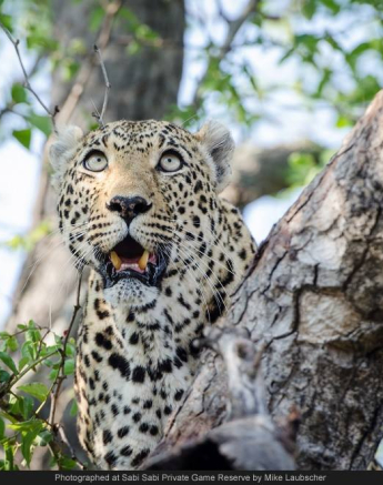 10679664 758061427574844 16055761502861256 O