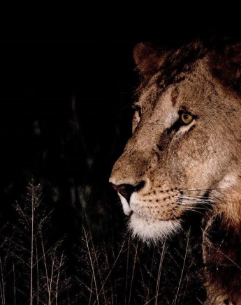 13Kevan Dobbie Tsalala Males 1 Final