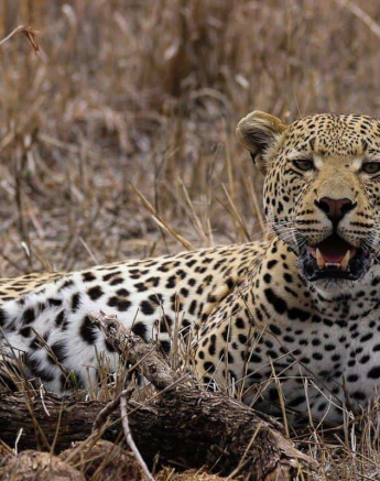 16Louise Murray White Dam 06112018 Final 16Louise Murray White Dam 06112018 Final