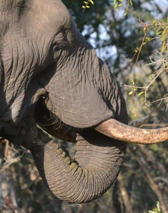 33Ronald Mutero Ele 28072019 2 Final 33Ronald Mutero Ele 28072019 2 Final