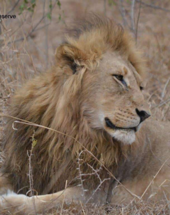 11Ronald Mutero Othawa 11102019 2 Final