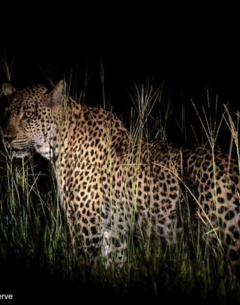 29Ronald Mutero Msuthu 17022020  13 Final 29Ronald Mutero Msuthu 17022020  13 Final