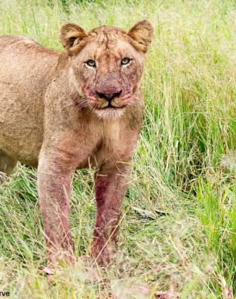 13ronald Mutero Khambula Pride 01032021 2 FINAL