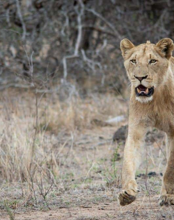 33Kerry Lee Roberg SP311018.2 Final 33Kerry Lee Roberg SP311018.2 Final