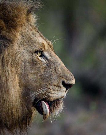 06Mike Palmer Mazino Floppy 050316 2