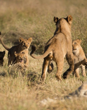 28Terry Ennever SP 18517 3 Final 28Terry Ennever SP 18517 3 Final