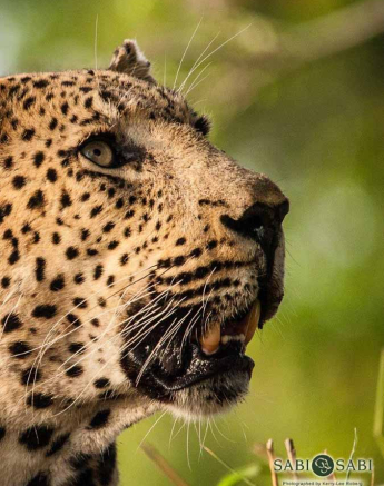 12Kerry Lee Roberg Max2 Final 12Kerry Lee Roberg Max2 Final