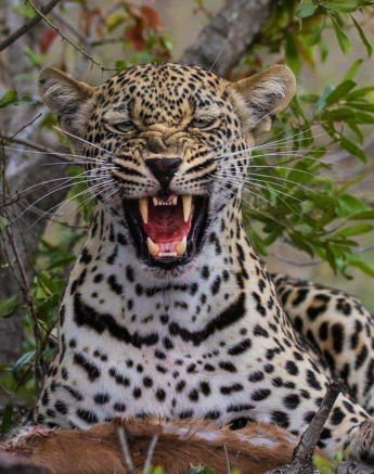 03Kevan Dobbie Msuthlu Female 231118 Final