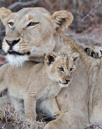 Week In Pictures 17 Week In Pictures 17