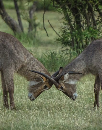 10945823 808164995897820 8473650173300768492 O