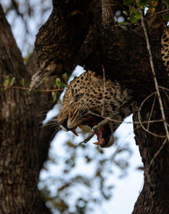 10Mike Palmer Max Vs Mash 010816 2 10Mike Palmer Max Vs Mash 010816 2